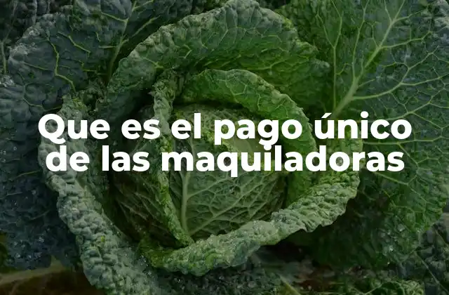 Que es el Pago Único de las Maquiladoras