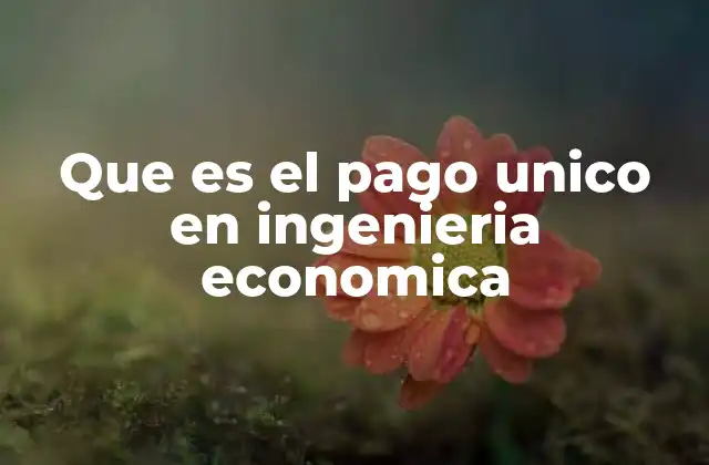 Que es el Pago Unico en Ingenieria Economica