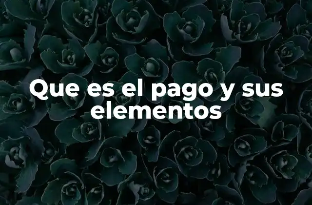 Que es el Pago y Sus Elementos