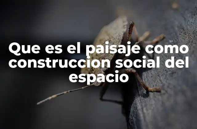 Que es el Paisaje como Construccion Social Del Espacio