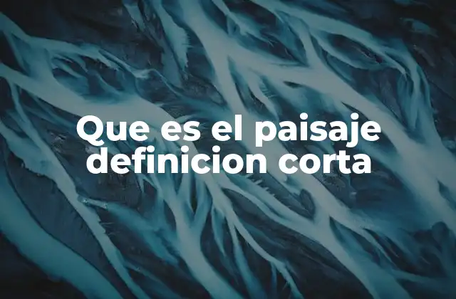 Que es el Paisaje Definicion Corta