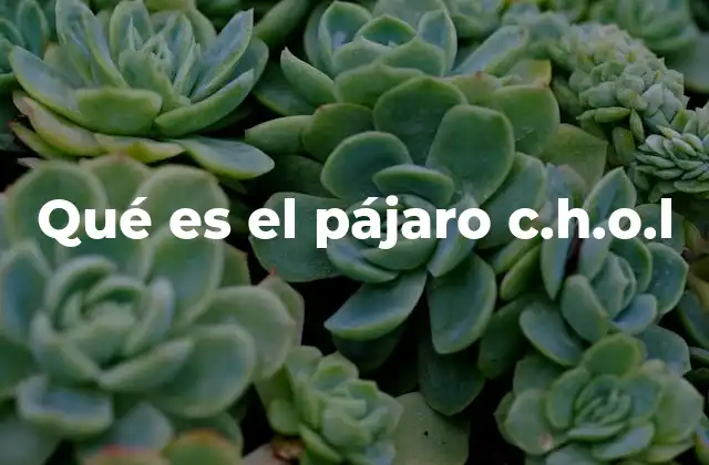 Qué es el Pájaro C.h.o.l