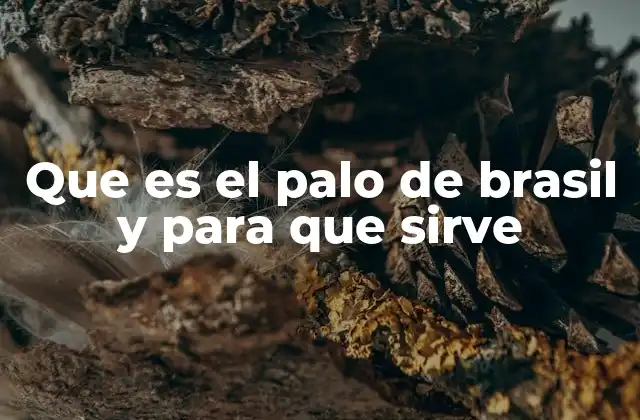 Que es el Palo de Brasil y para que Sirve
