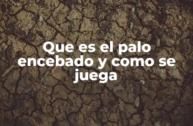 Que es el Palo Encebado y como Se Juega