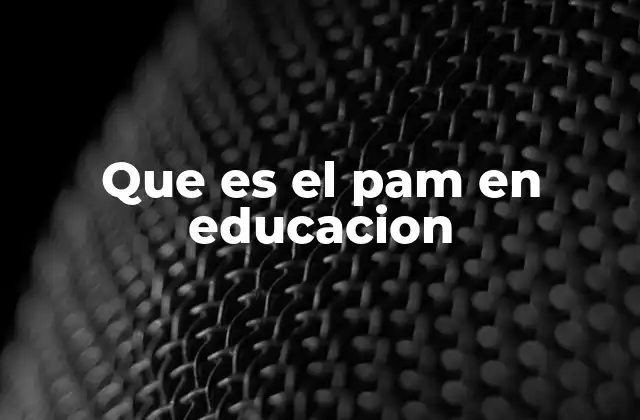 El PAM como herramienta de mejora educativa