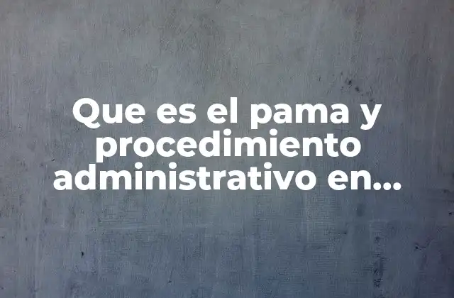 Que es el Pama y Procedimiento Administrativo en Materia Aduanera