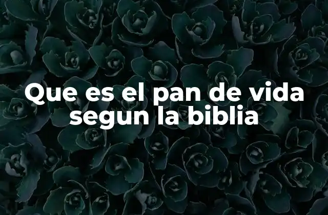 Que es el Pan de Vida Segun la Biblia