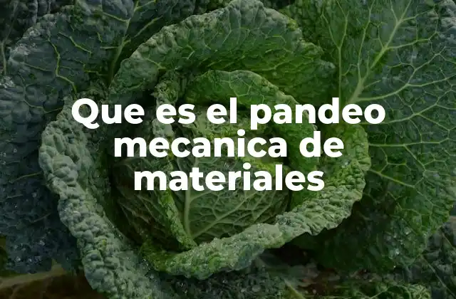 Que es el Pandeo Mecanica de Materiales