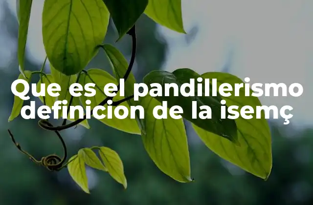 Que es el Pandillerismo Definicion de la Isemç