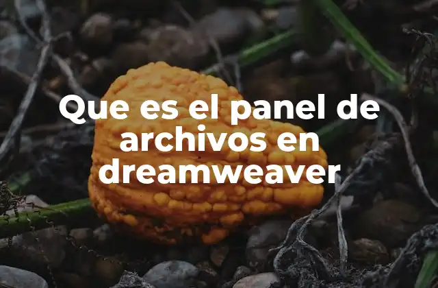 Que es el Panel de Archivos en Dreamweaver 2 Cómo mejora el flujo de trabajo en Dreamweaver