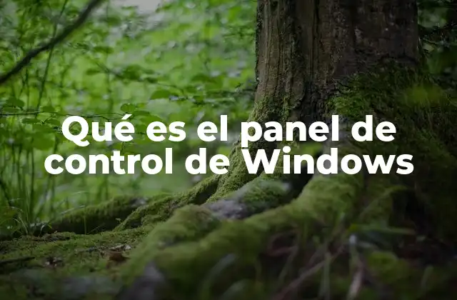 Qué es el Panel de Control de Windows