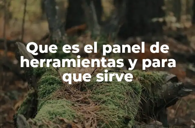 Que es el Panel de Herramientas y para que Sirve 2 La importancia de una buena organización en la interfaz