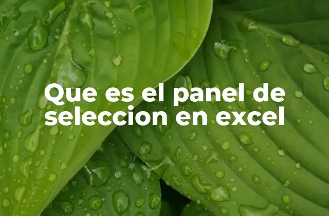 Que es el Panel de Seleccion en Excel