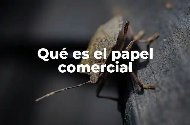 Qué es el Papel Comercial