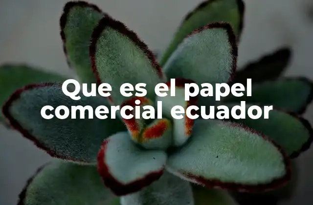 Que es el Papel Comercial Ecuador