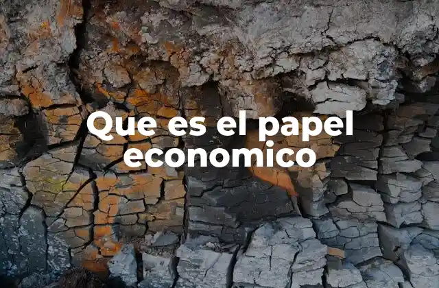 Que es el Papel Economico