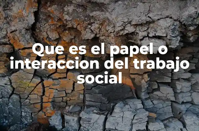 Que es el Papel o Interaccion Del Trabajo Social