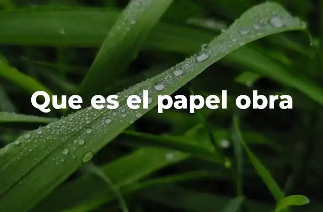 Que es el Papel Obra