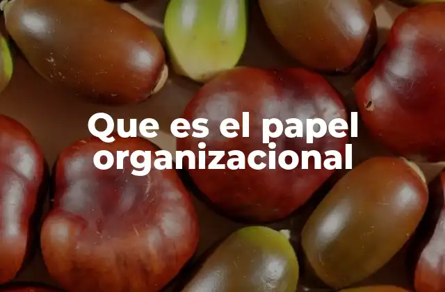 Que es el Papel Organizacional 2 La importancia de definir roles en una organización