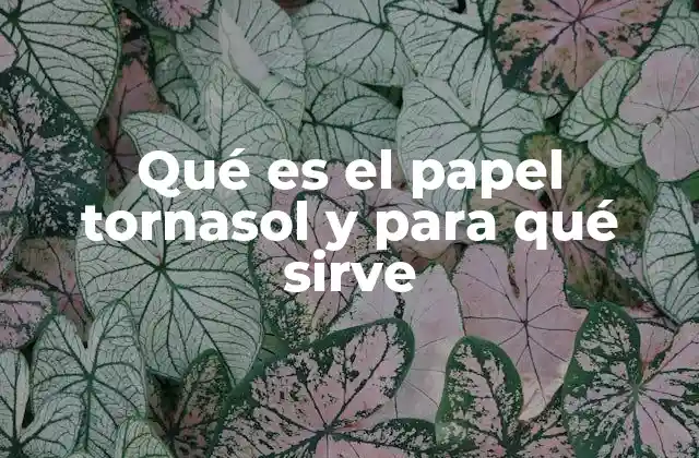 Qué es el Papel Tornasol y para Qué Sirve