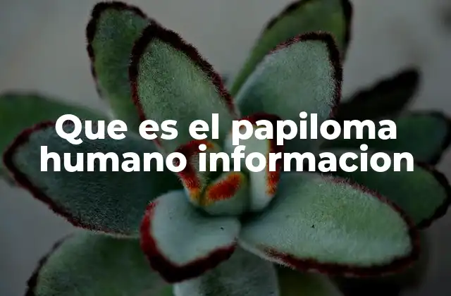 Que es el Papiloma Humano Informacion