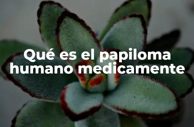 Qué es el Papiloma Humano Medicamente