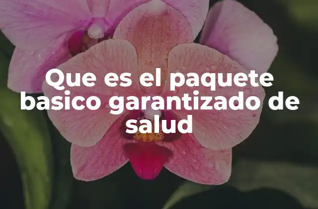 Que es el Paquete Basico Garantizado de Salud 2 Componentes del sistema de salud en Colombia y el rol del PBGS