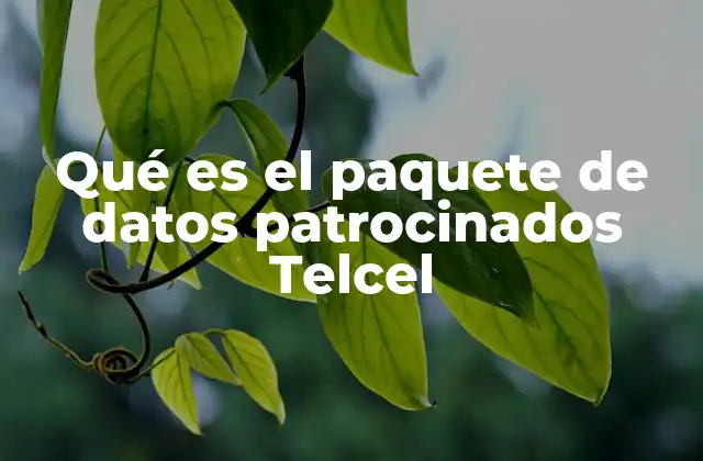 Qué es el Paquete de Datos Patrocinados Telcel 17 Cómo los datos patrocinados en Telcel mejoran la experiencia del usuario
