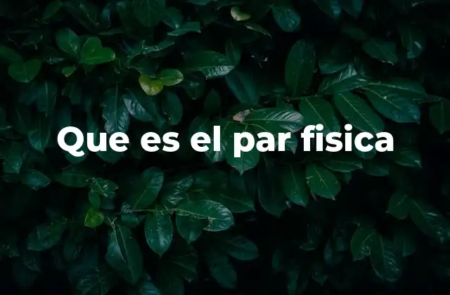 Que es el Par Fisica