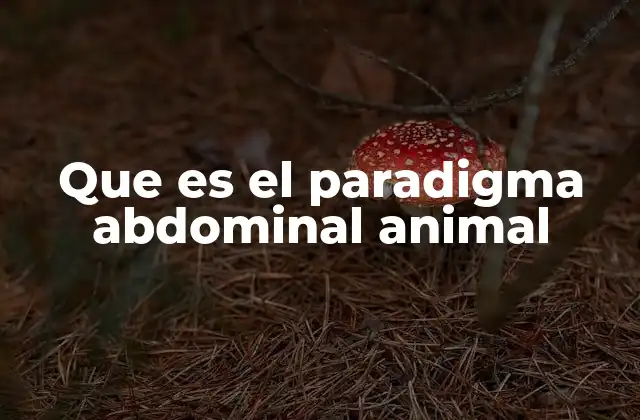 Que es el Paradigma Abdominal Animal