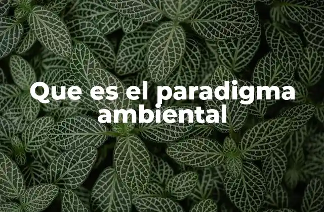 Que es el Paradigma Ambiental