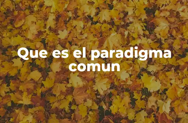 Que es el Paradigma Comun