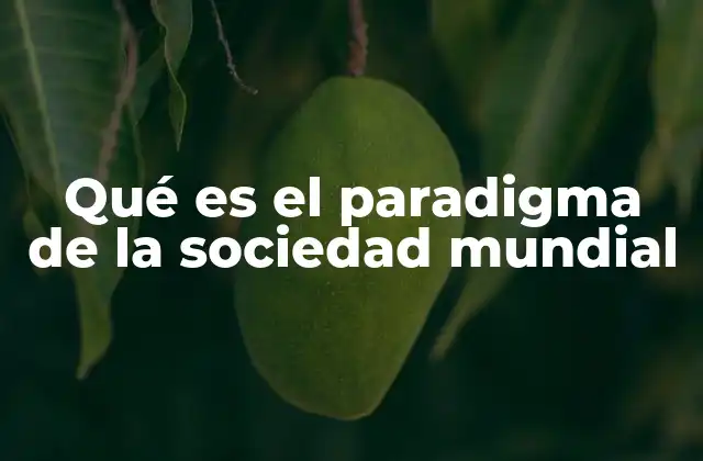 Qué es el Paradigma de la Sociedad Mundial