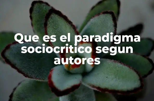 Que es el Paradigma Sociocritico Segun Autores