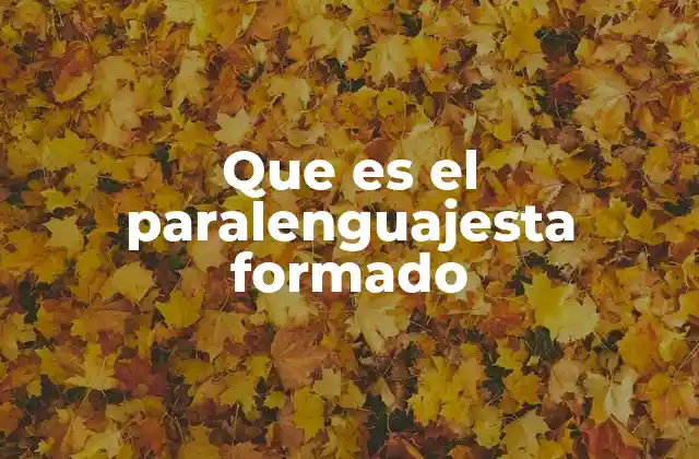 Que es el Paralenguajesta Formado