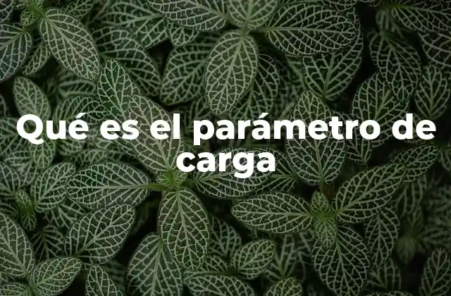 Qué es el Parámetro de Carga