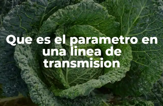 Que es el Parametro en una Linea de Transmision