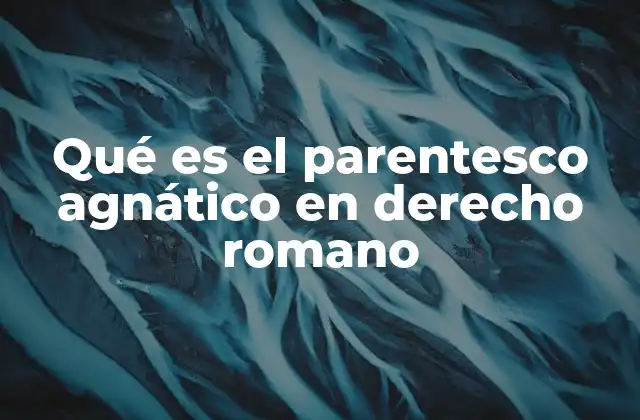 Qué es el Parentesco Agnático en Derecho Romano