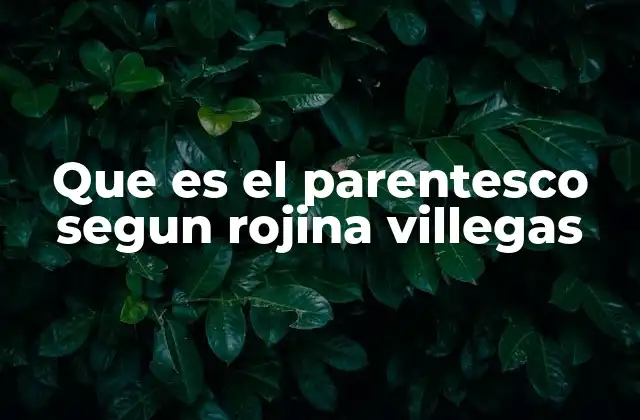 Que es el Parentesco Segun Rojina Villegas
