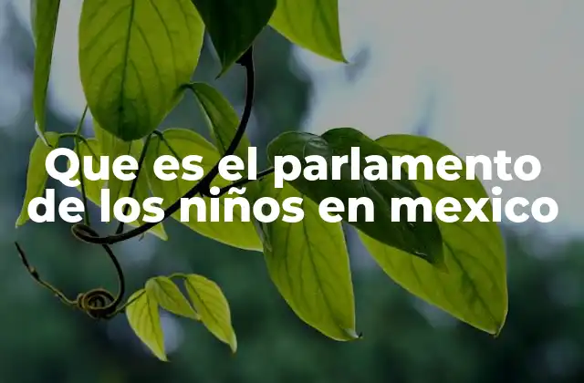 Que es el Parlamento de los Niños en Mexico 2 El Parlamento de los Niños como un espacio de formación ciudadana