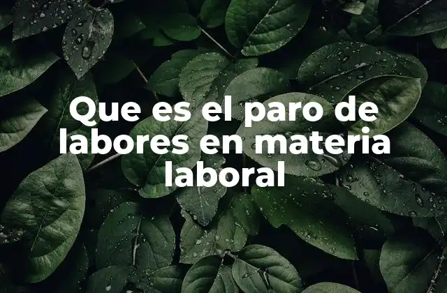 Que es el Paro de Labores en Materia Laboral