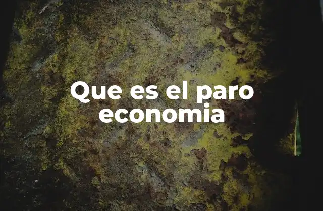 Que es el Paro Economia