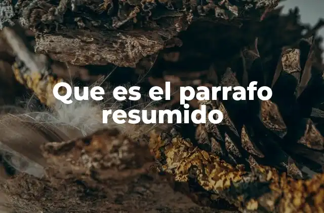 Que es el Parrafo Resumido