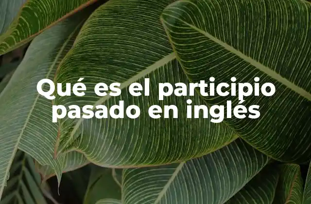 Qué es el Participio Pasado en Inglés