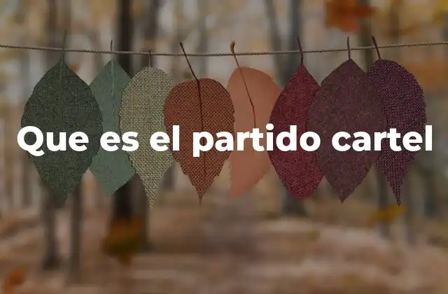 Que es el Partido Cartel