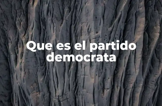 Que es el Partido Democrata