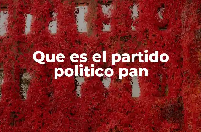 Que es el Partido Politico Pan