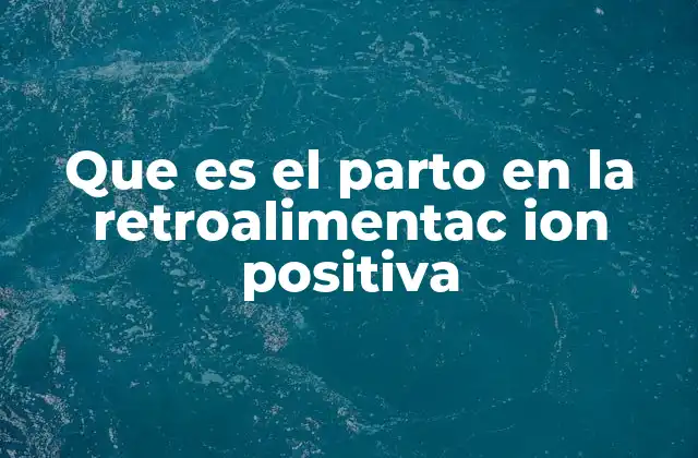 Que es el Parto en la Retroalimentac Ion Positiva