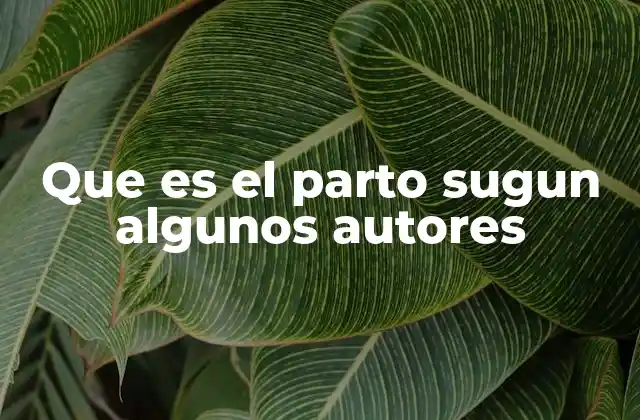 Que es el Parto Sugun Algunos Autores