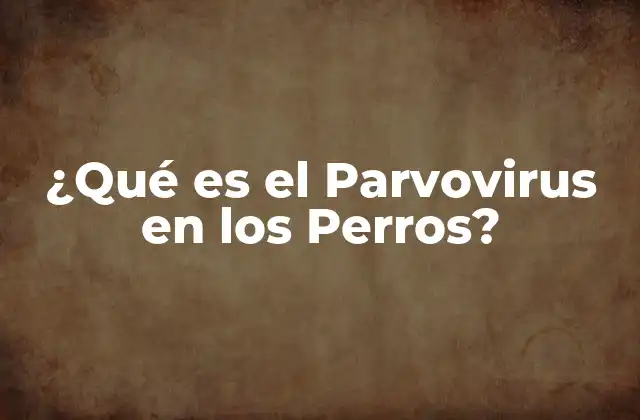 ¿qué es el Parvovirus en los Perros?